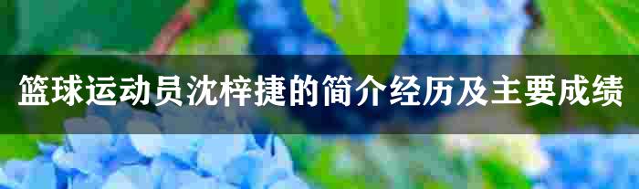 篮球运动员沈梓捷的简介经历及主要成绩
