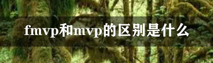 fmvp和mvp的区别是什么